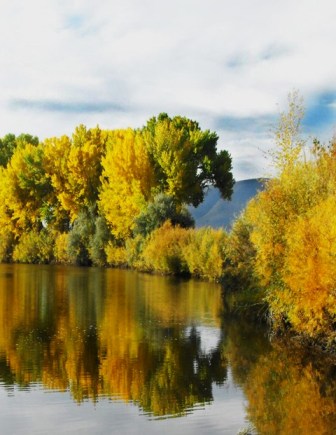 Photo of the Carson River in Autumn